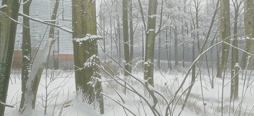 Страна, которая молчит