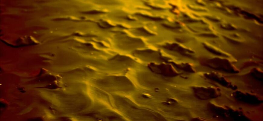 Минута («Узорные ткани так зыбки…»)