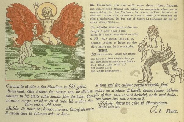 Заря: шиповник в цвету