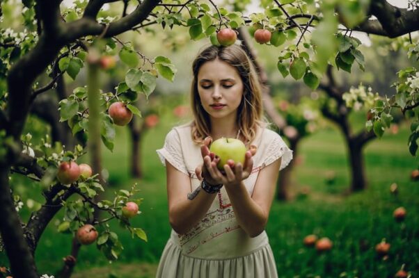 «Яблони сада вырваны...»