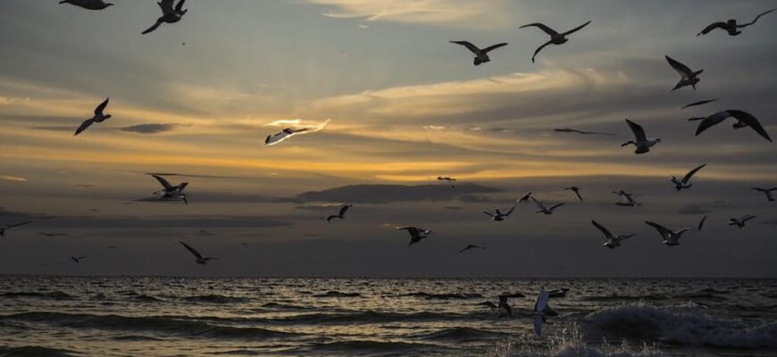 «Отчалила лодка. Чуть брезжил рассвет...»