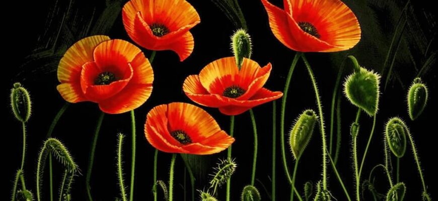 Раздумье («Жар снов людских ― как маков цвет…»)