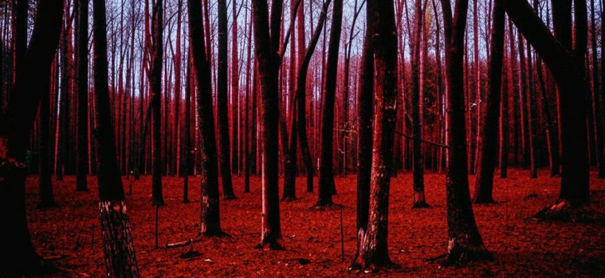 «Только мыслей и слов...»