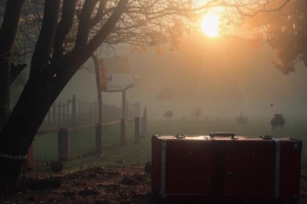 «Рассвет и дождь. В саду густой туман...»