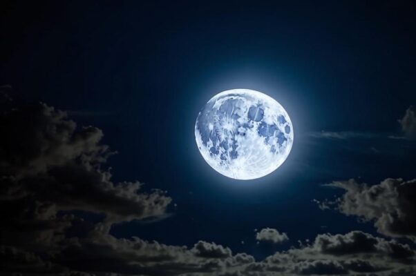 «Стихам своим я знаю цену...»