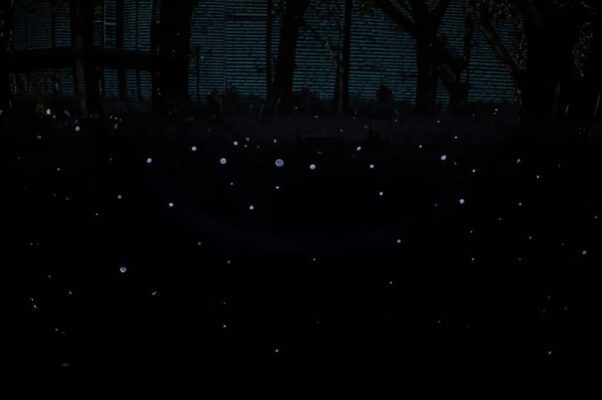 «Дождь перестал... И только по бокам...»