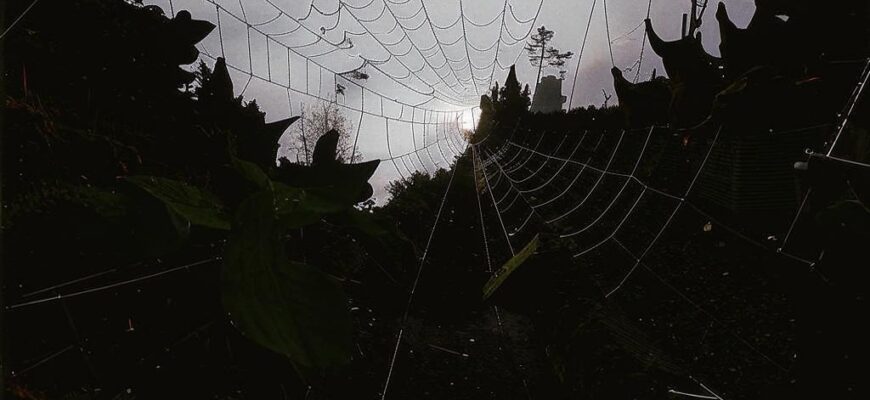 «Вопли, хохот, лица или морды?..»