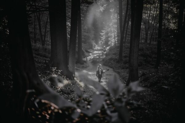 Лес — сразу за оградой