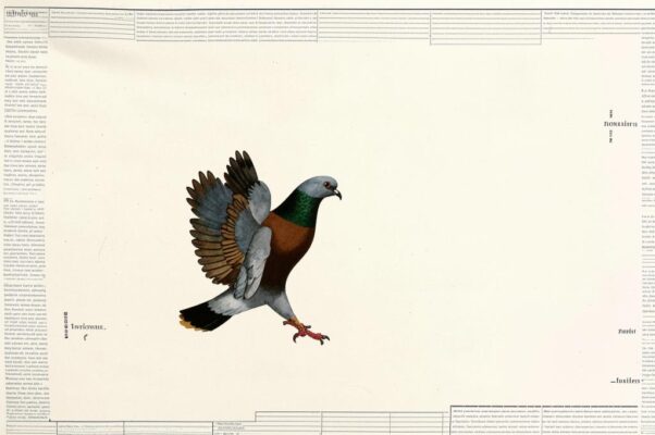 Голуби («Весна.  И с каждым днем невнятне…»)