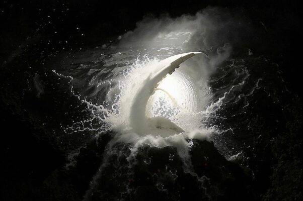 «Полету бурному внемли!..»