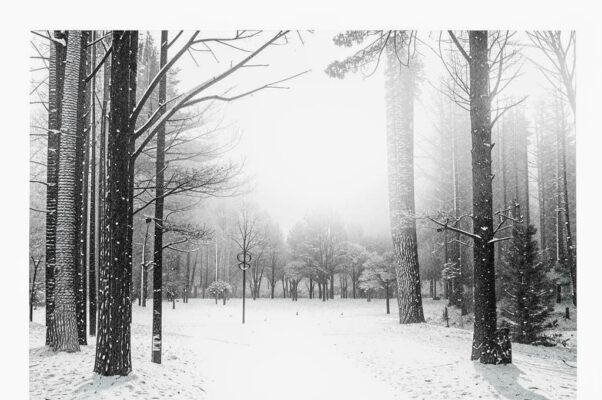 6 января 1996 г.