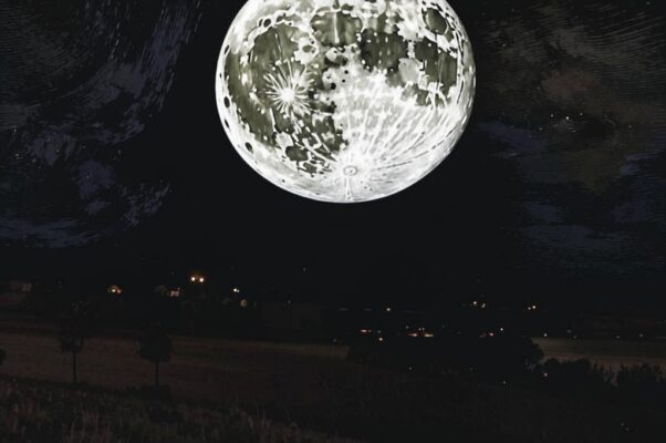 «Здесь нет различений: что черные тени...»