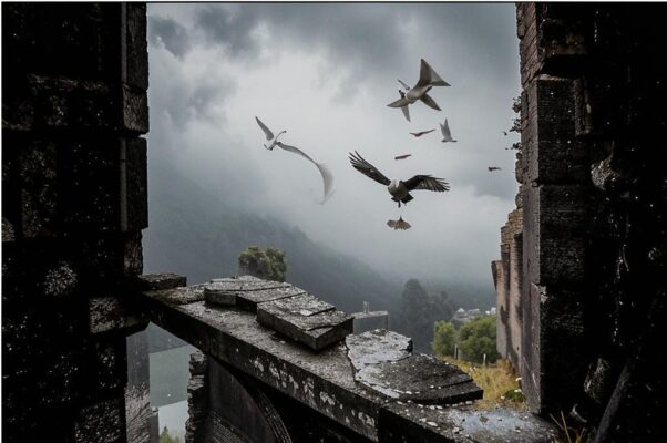 «Кто между облачных этих развалин...»