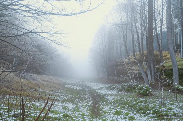 «Март-апрель, а по углам зима...»