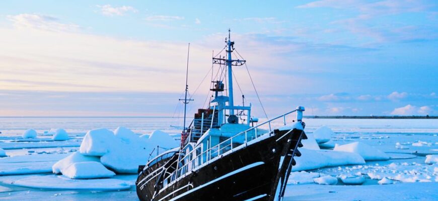 «Между льдов затерты, спят в тиши морей...»