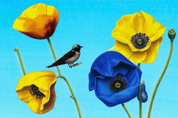 Как и прежде