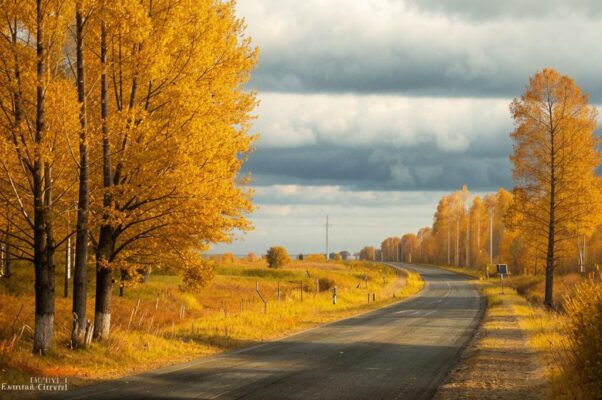 Осенняя воля