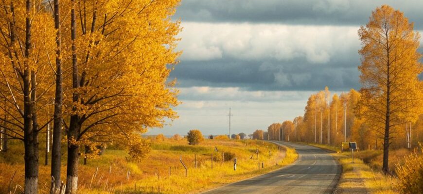 Осенняя воля