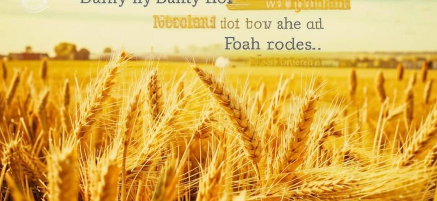 «И осталось из всего земного...»