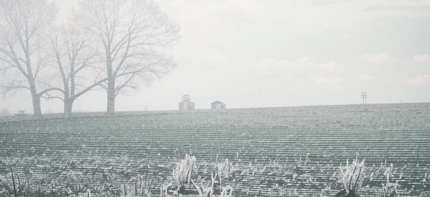 В вагоне («Довольно дел, довольно слов…»)
