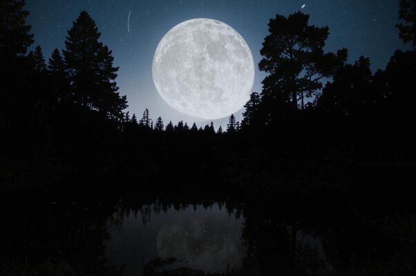 «Ночной порой, когда луна...»