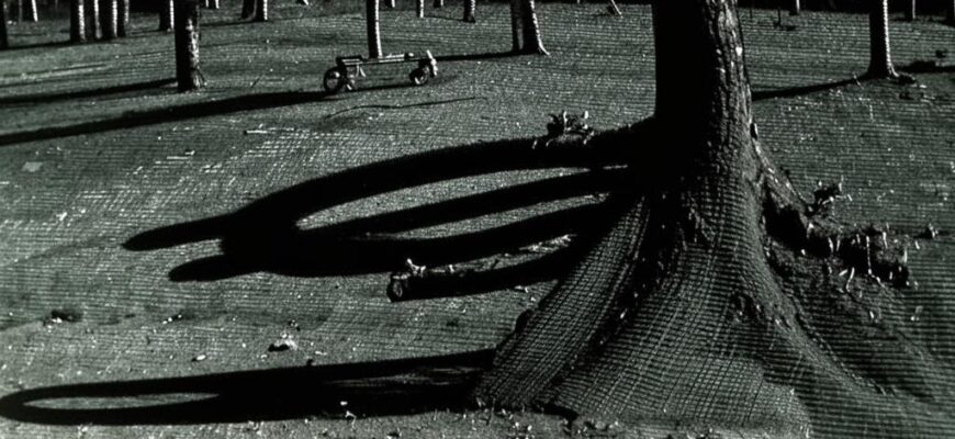 Стрекоза («Исполне…»)