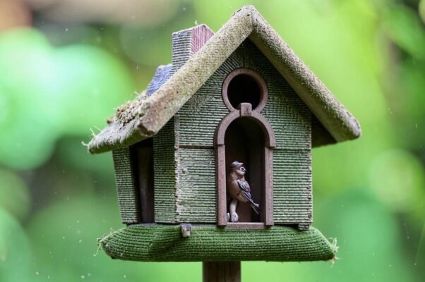 «Воздушный дом у птиц. Камням земля жильем...»