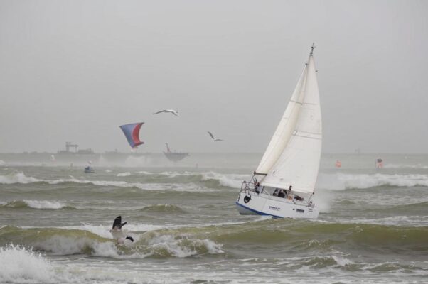 Непогода («Серый залив.  Ветер, прибой…»)