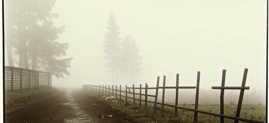 Родная картина