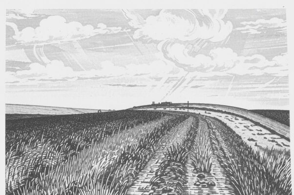 «Свободны дали. Небо открыто...»