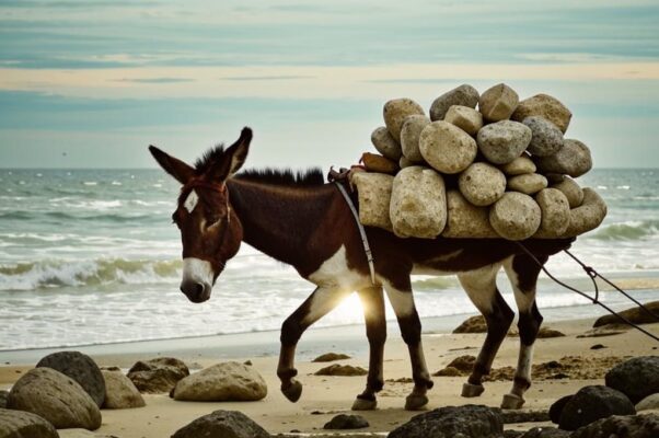 Соловьиный сад