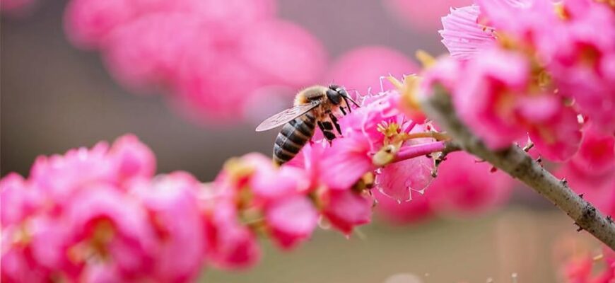 Пчела («Пчела под розовым кусто…»)