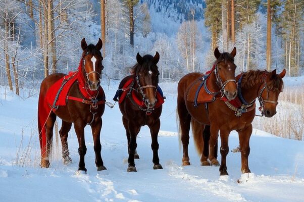 «Религиозная зима...»