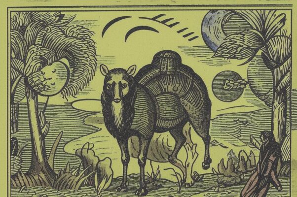 «Тарабарили вплоть до Тары...»