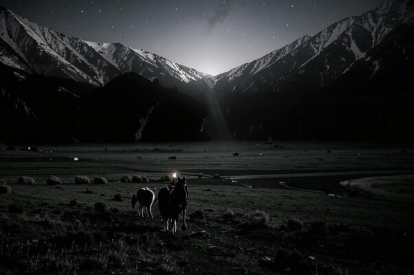 Лихорадка («Мы на пастбища…»)