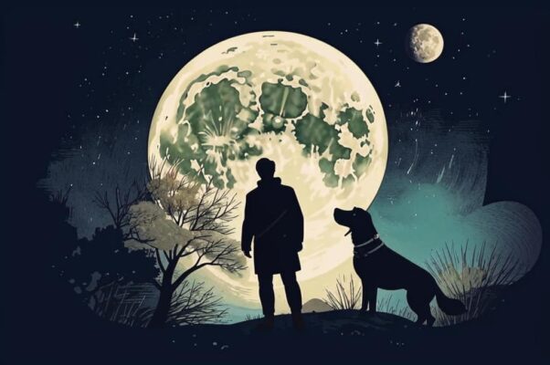 Обида («Я ― сначала ― к подруге прише…»)