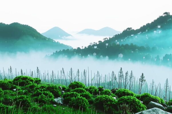 «Звучит в горах, весну встречая...»