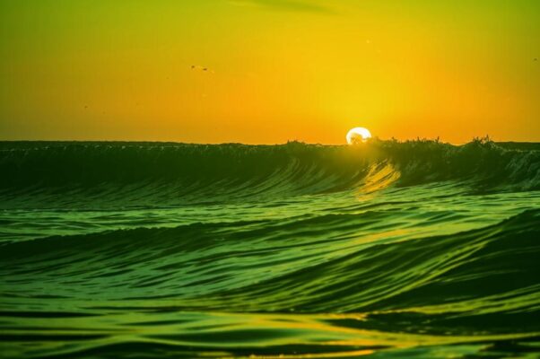 «Зеленый вал отпрянул и пугливо...»