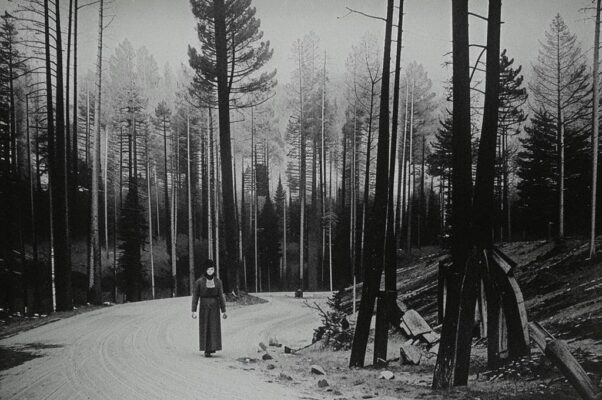 «Судьба замедлила сурово...»