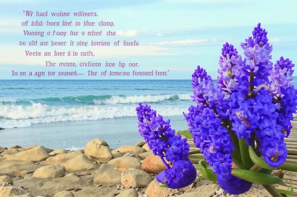 «Фиалки волн и гиацинты пены...»