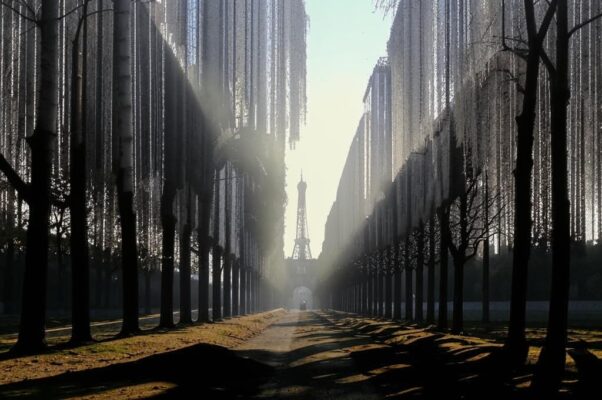 «Эта светлая аллея...»