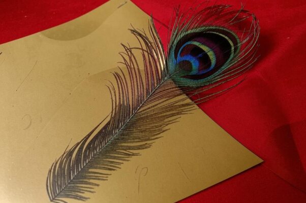 «Эти страницы — павлинье перо...»