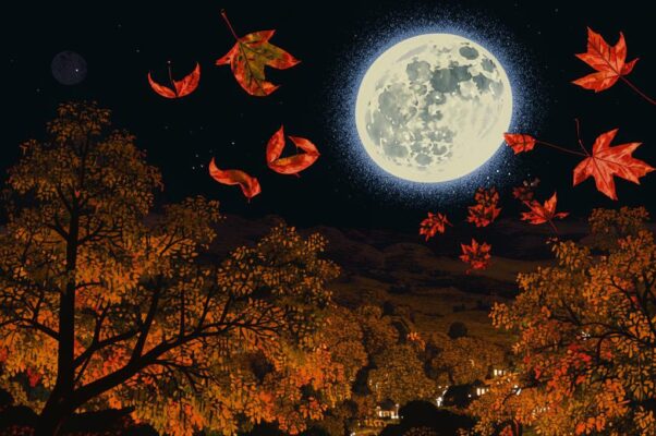 «Осенняя ночь и свежа, и светла...»