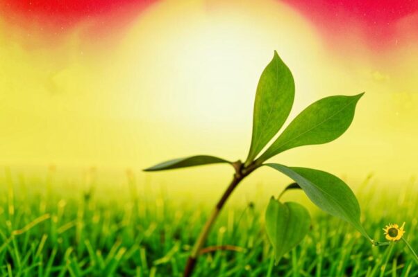 Зеленый цветок