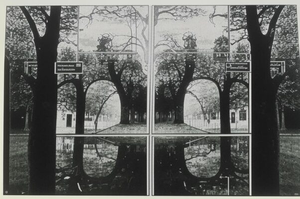 Зеркала («А вы никогда не видали…»)