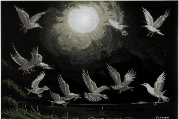 Нагие мысли