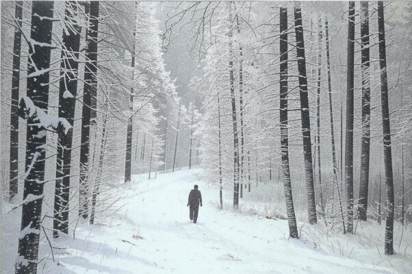 Снежные хлопья