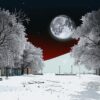 Тишь («На улицах белая тишь…»)