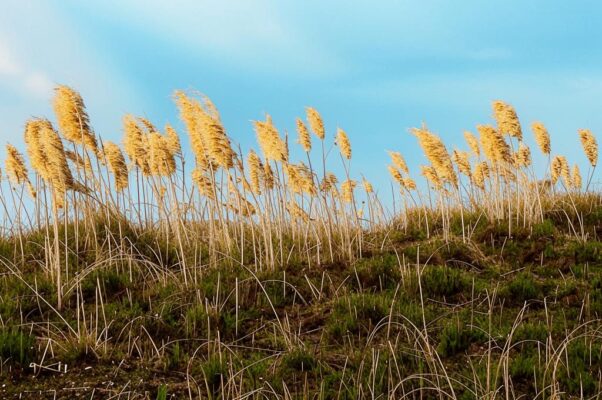 Хорошая погода