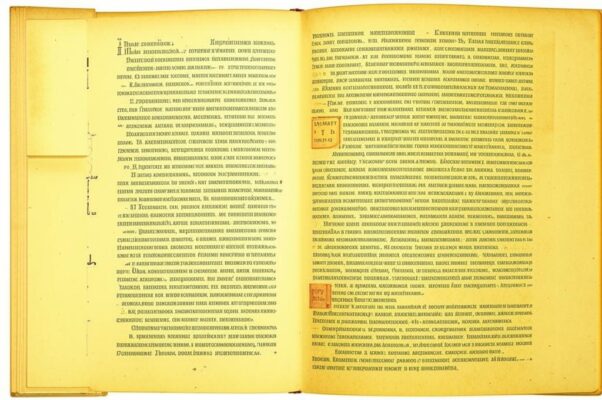 «Господа! Себя виновным...»